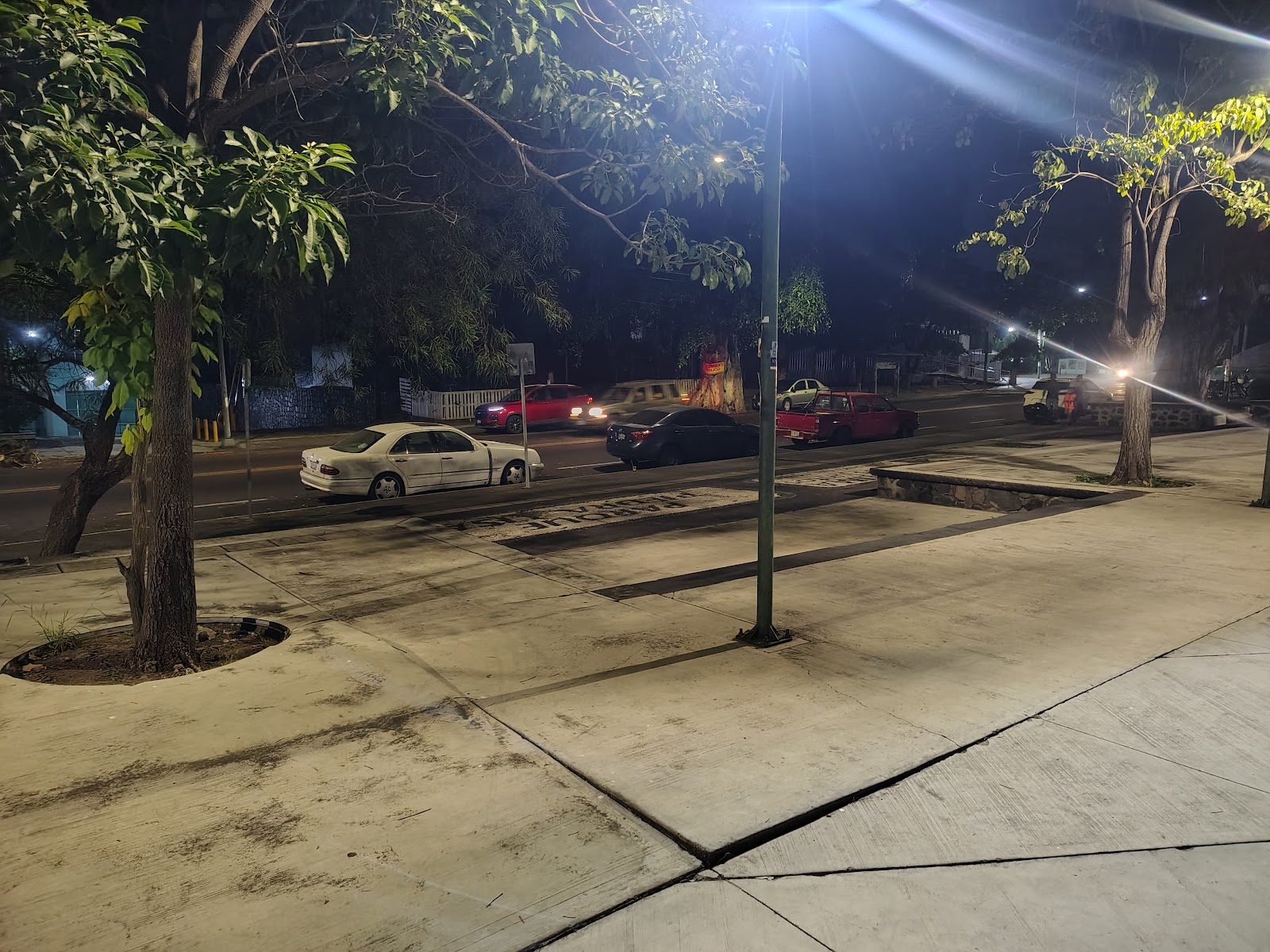 leetx-google-photo-57579-6 leetx-google-photo-57579-6