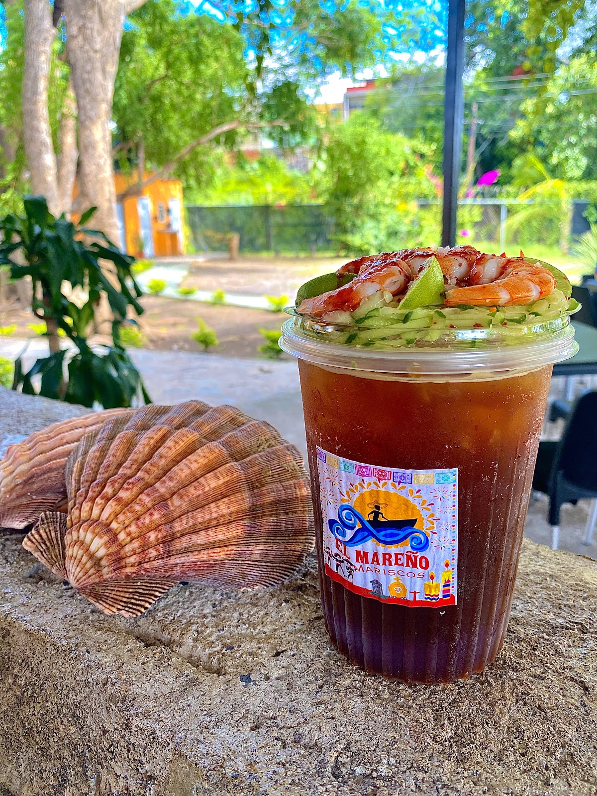 leetx-google-photo-59102-2 leetx-google-photo-59102-2