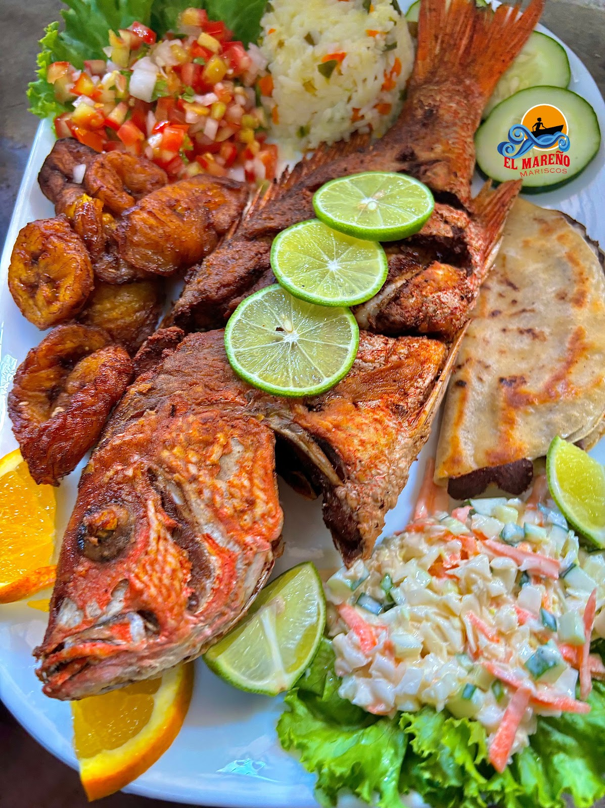 leetx-google-photo-59102-3 leetx-google-photo-59102-3