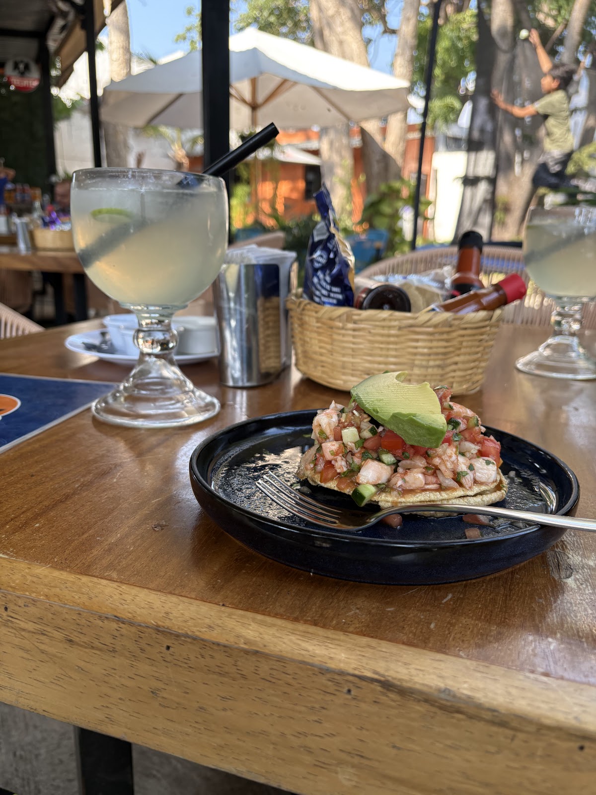 leetx-google-photo-59102-8 leetx-google-photo-59102-8