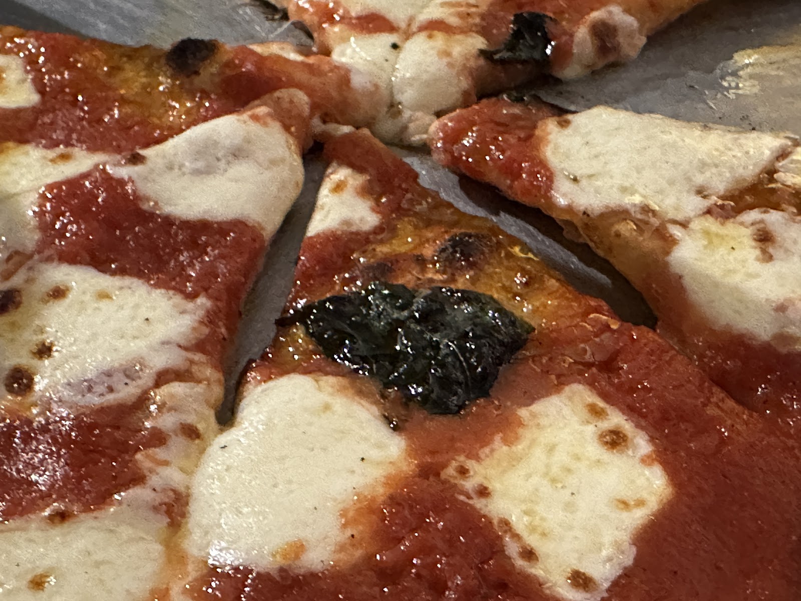 leetx-google-photo-59444-3 leetx-google-photo-59444-3