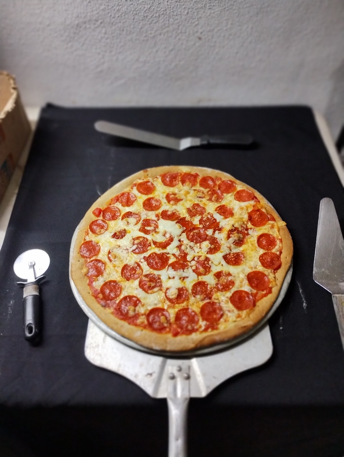 leetx-google-photo-61327-2 leetx-google-photo-61327-2