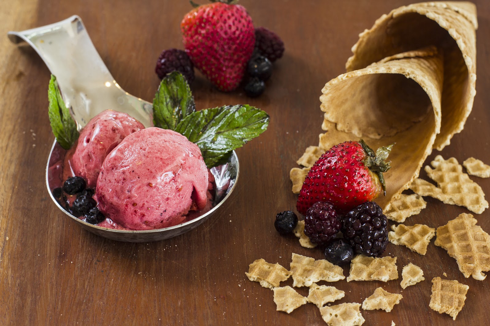 leetx-google-photo-64162-7 leetx-google-photo-64162-7