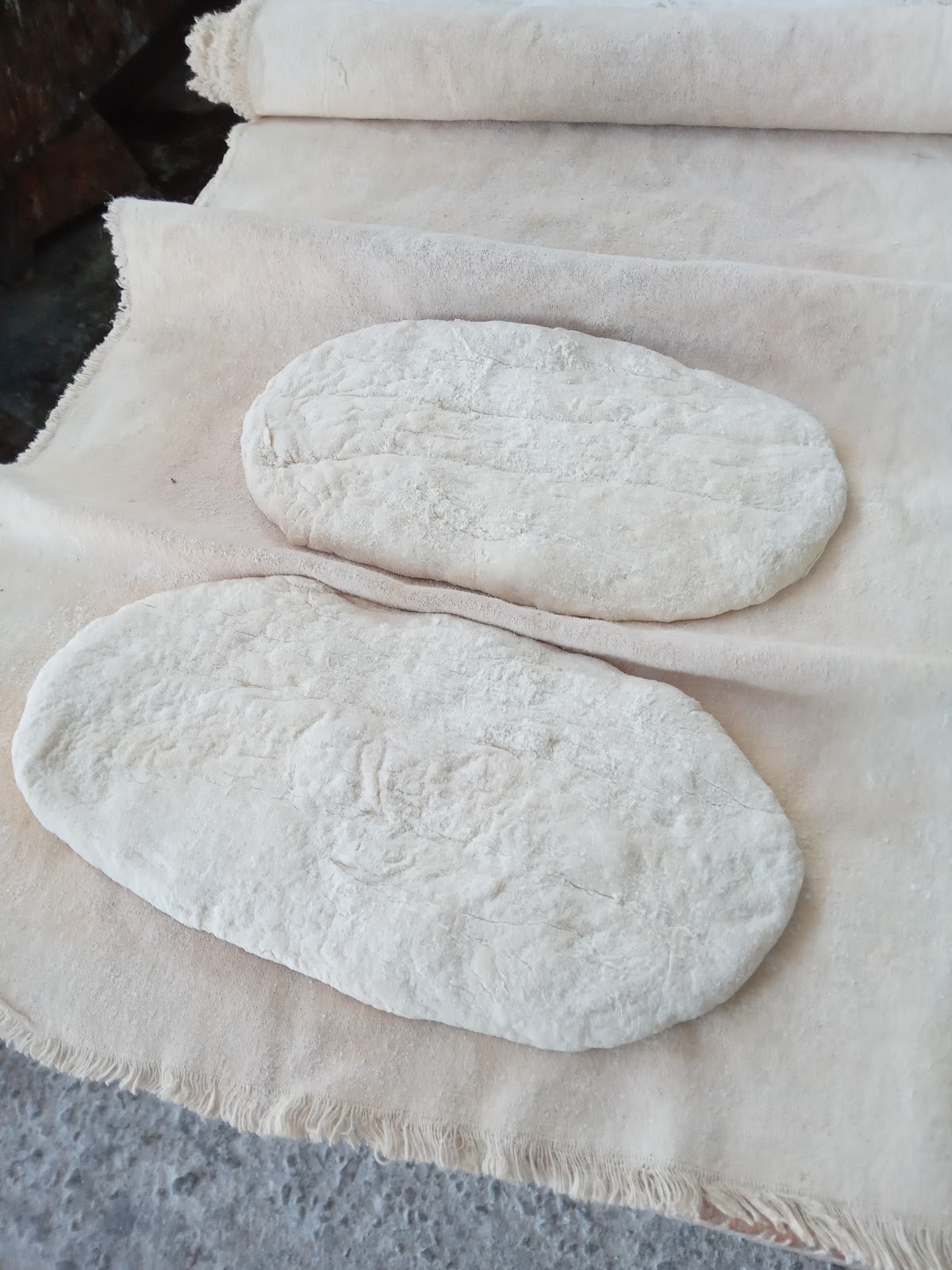 leetx-google-photo-65241-2 leetx-google-photo-65241-2