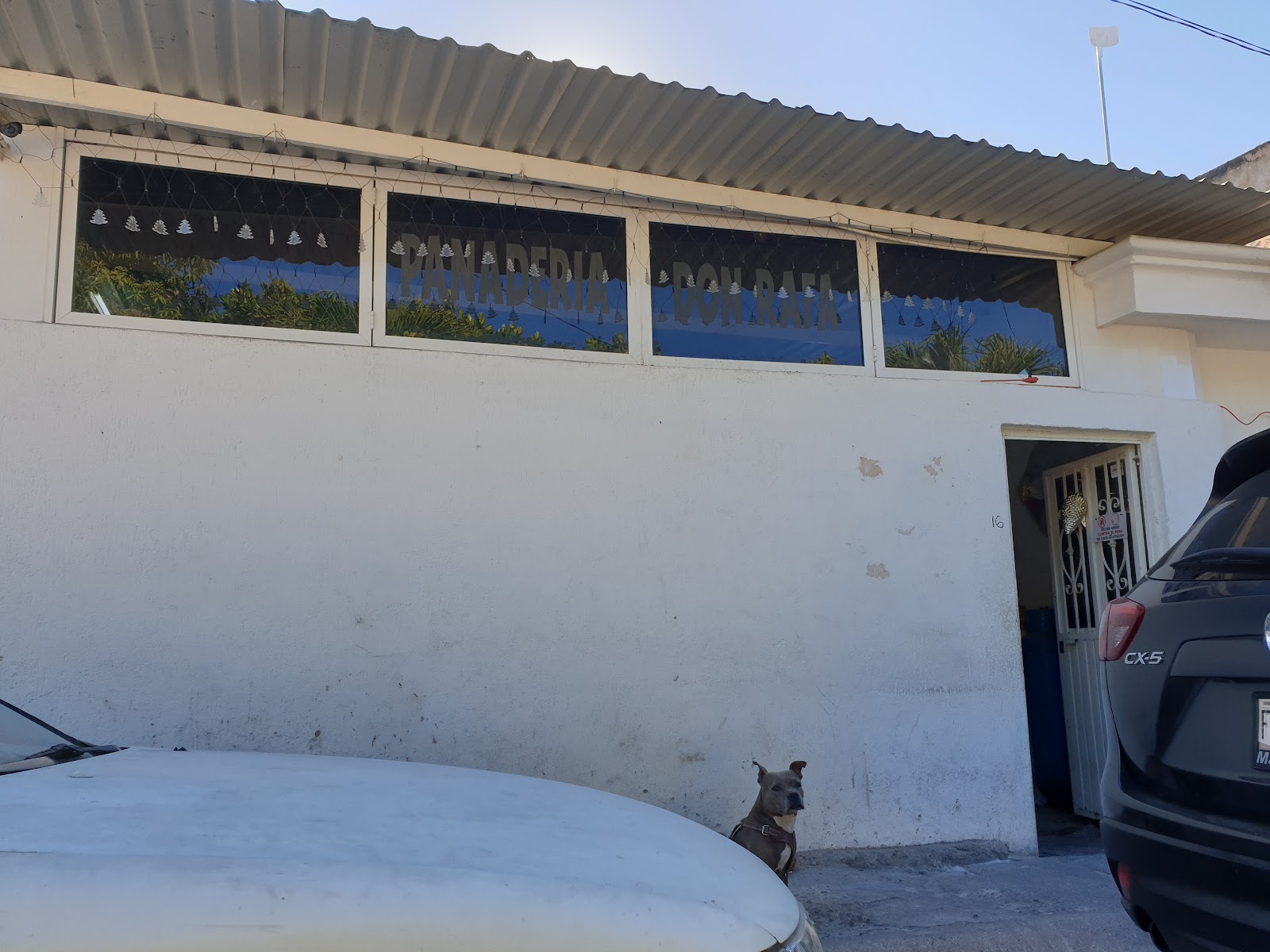 leetx-google-photo-65241-3 leetx-google-photo-65241-3