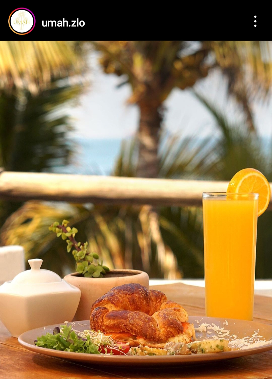 leetx-google-photo-66397-3-1 leetx-google-photo-66397-3-1